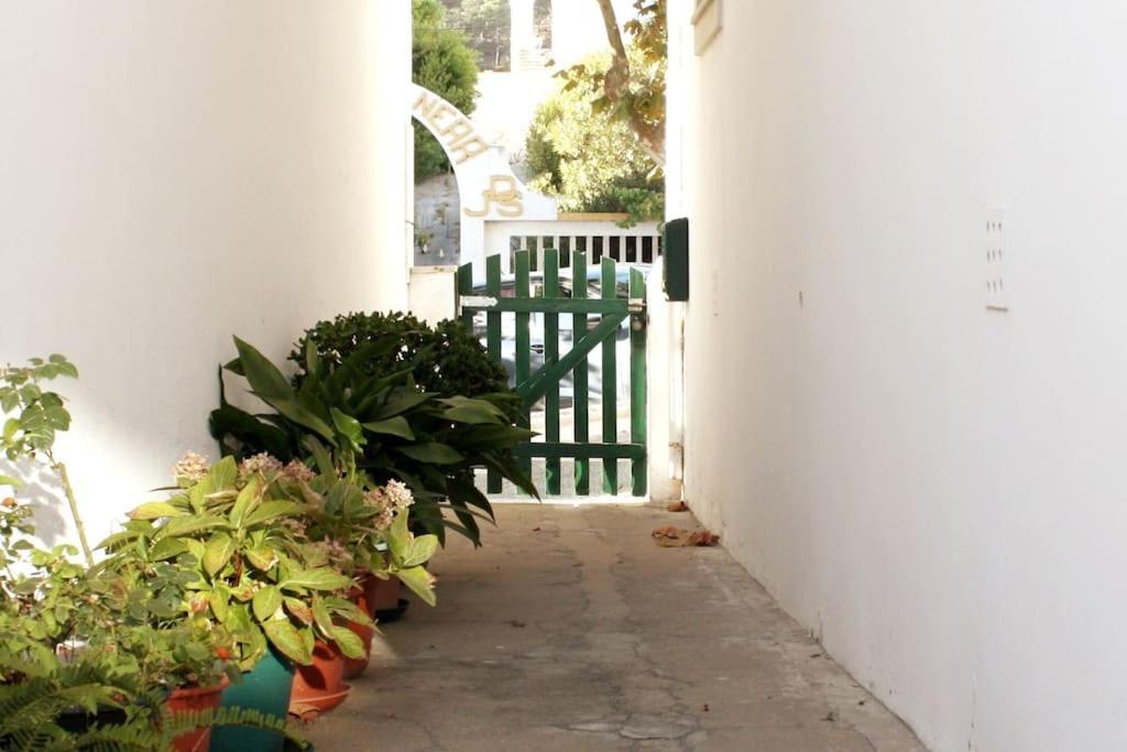 The Green Gate Patio House 나자레 외부 사진
